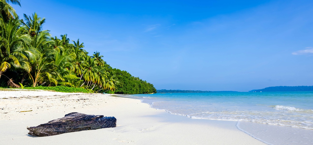 7 Must-Visit Beaches in Andaman for Your Next Island Getaway