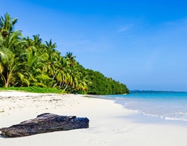 7 Must-Visit Beaches in Andaman for Your Next Island Getaway